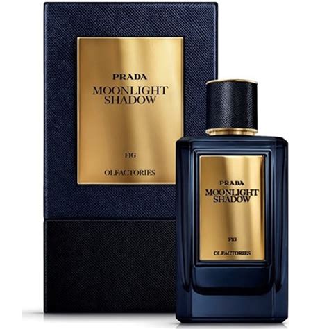 prada olfactories|Prada olfactories moonlight shadow.